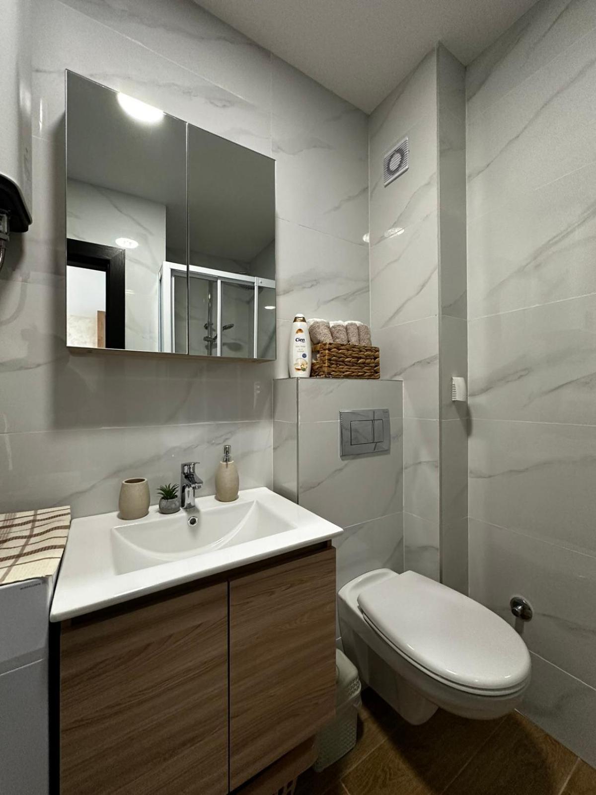 Apartment Zlatnik *