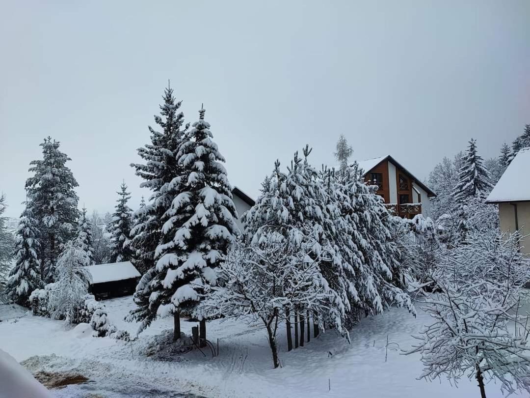 Zlatnik *