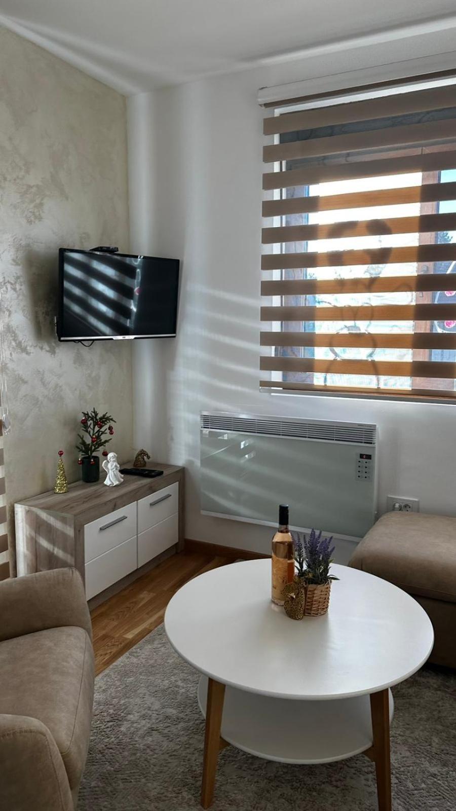 Apartment Zlatnik *